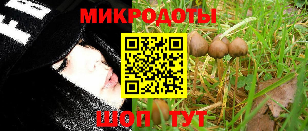 Галлюциногенные грибы MAGIC MUSHROOMS  Псилоцибиновые грибы мухоморы  Вход с VPN  где купить наркоту  Сосновый Бор 
