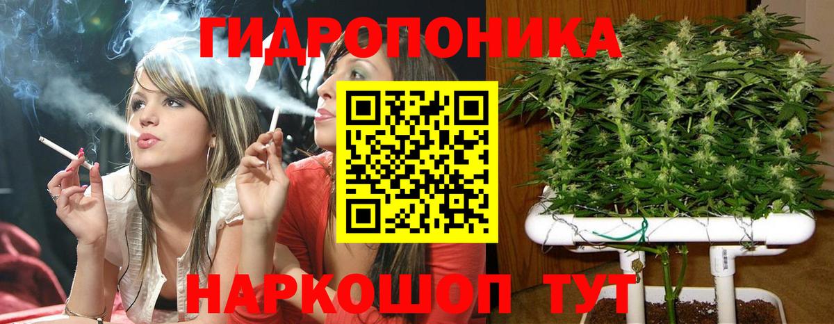 Бошки Шишки сатива Сосновый Бор